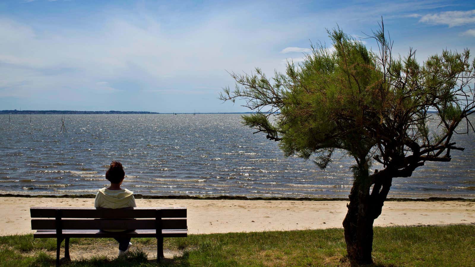 A woman sits on a bench at a beach near the town of Arcachon, France, Wednesday, June 15, 2016.
