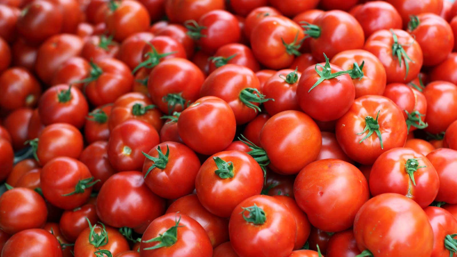 You say tomato, American consumers say “organic please.”