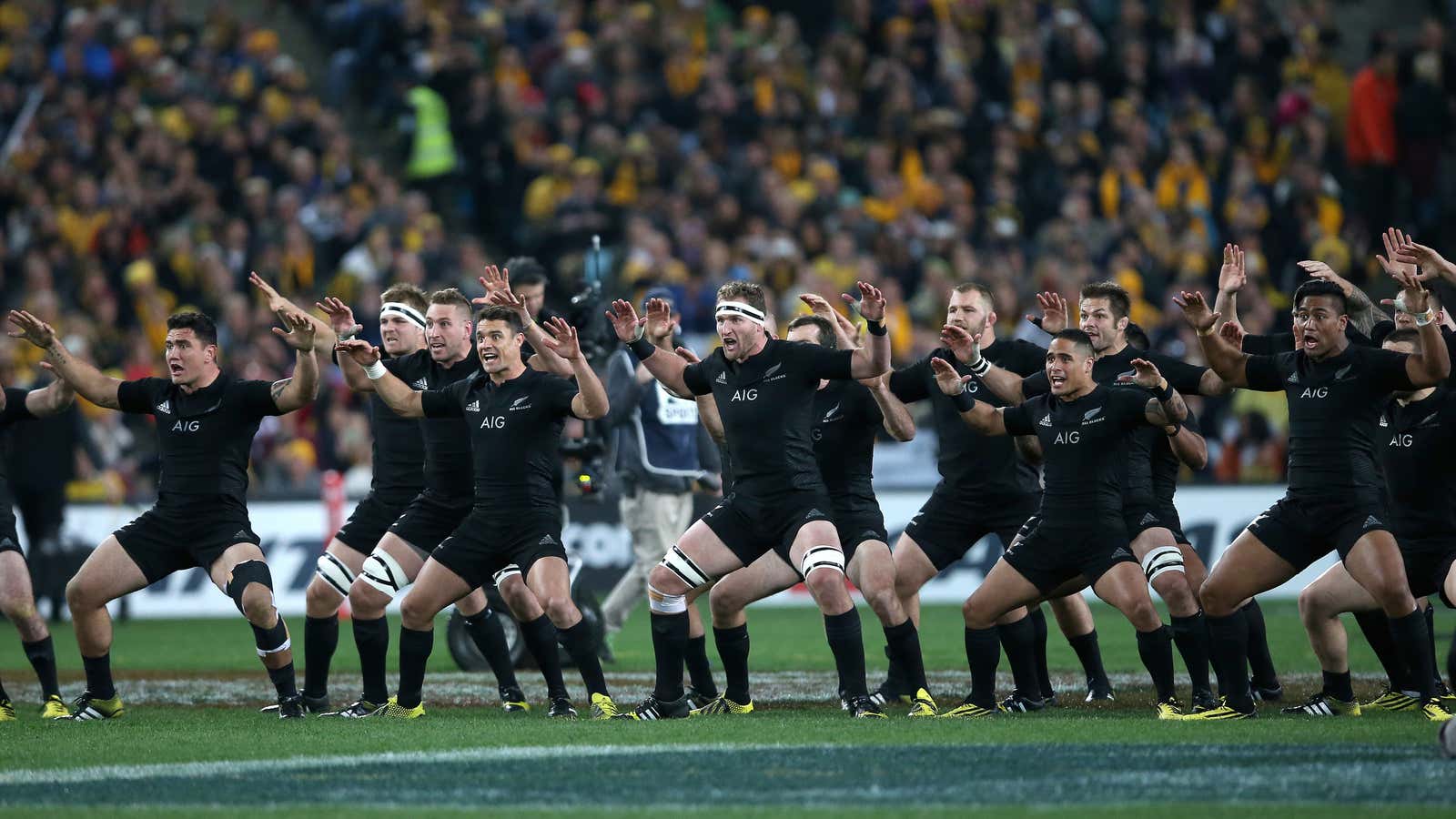 The All Blacks perform the haka before the start of the 2015 Rugby World Cup Pool C match between Argentina and New Zealand in London.