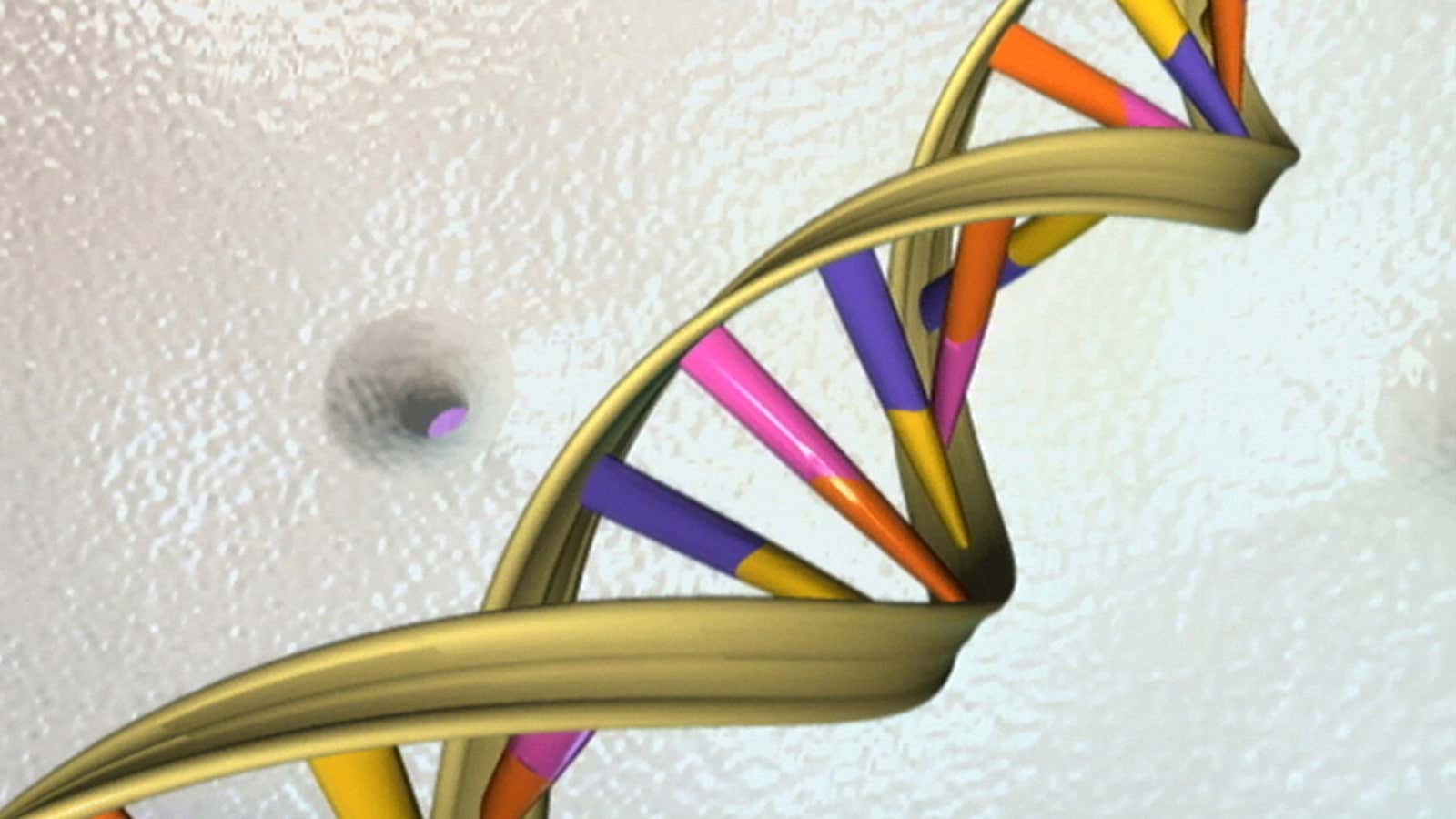 A DNA double helix is seen in an undated artist’s illustration