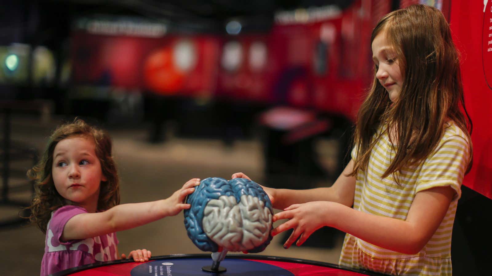 Your brain adapts to its environment, deciding when learning is necessary.