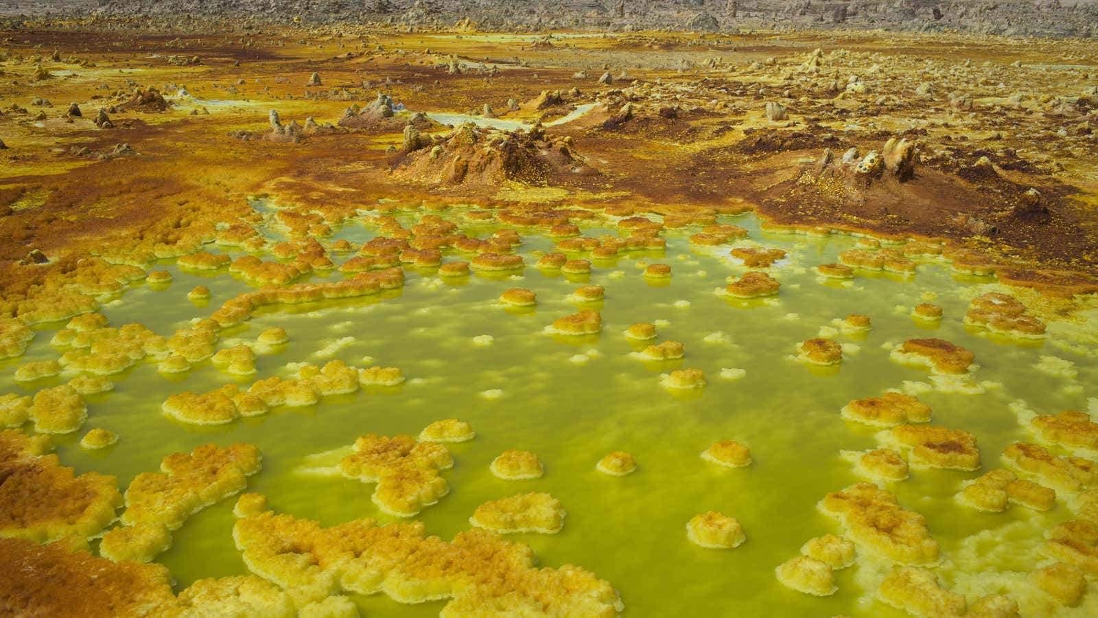 The Danakil Depression in Ethiopia is one of the hottest and harshest environments on earth.