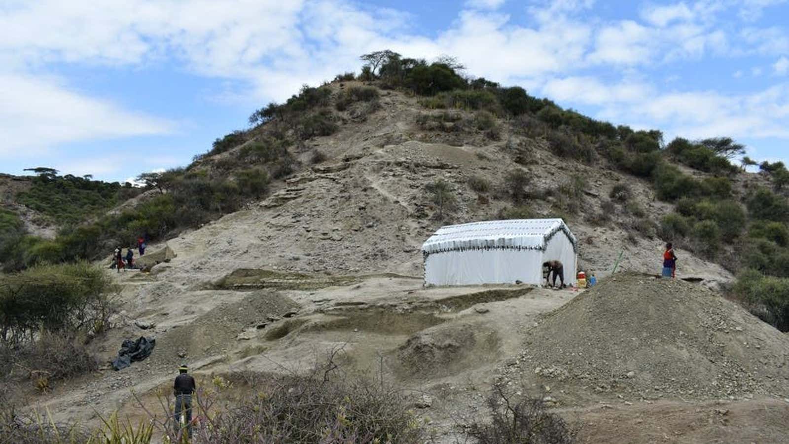 The research site at the Olduvai Gorge.