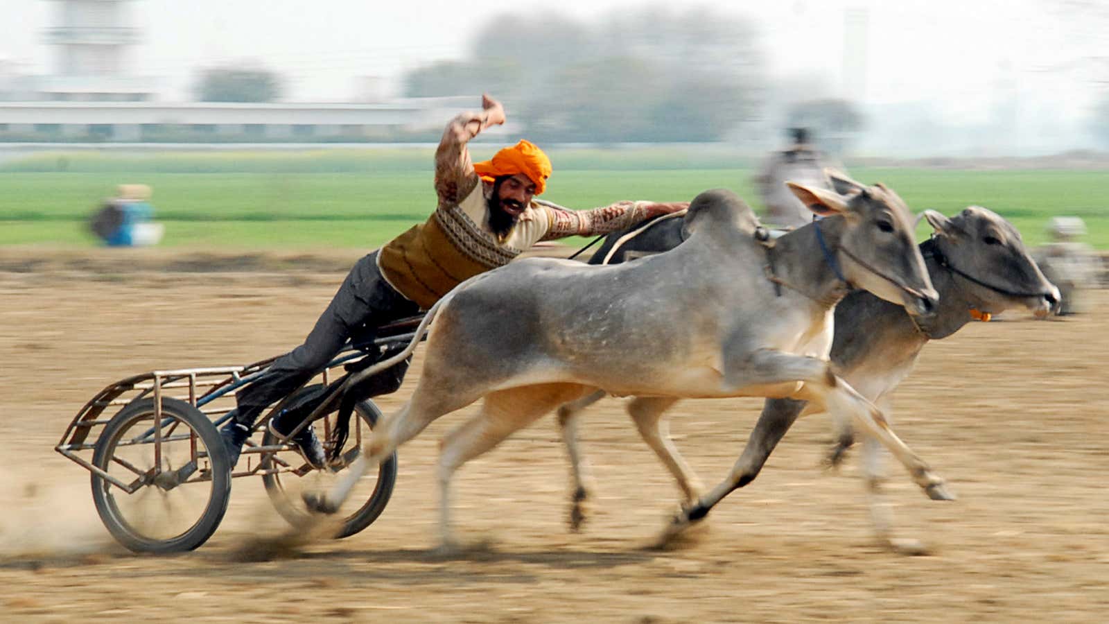 Punjab lacks that fast pace now.