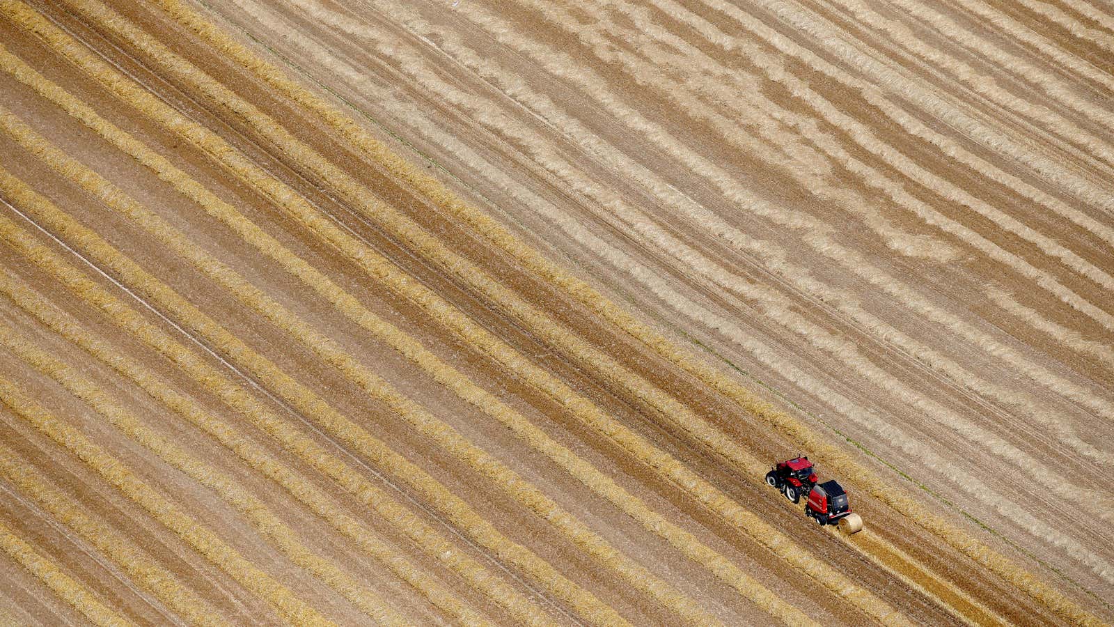 The future of wheat futures.