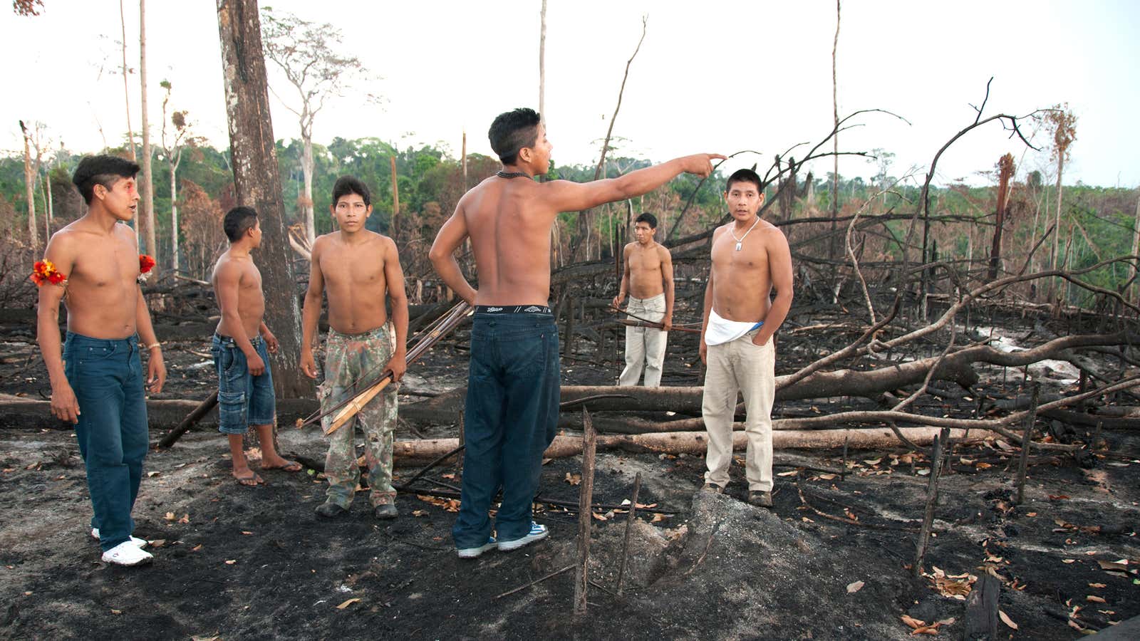 Contacted Awá people—and their uncontacted neighbors, not pictured—grapple with illegal fires in their territory.