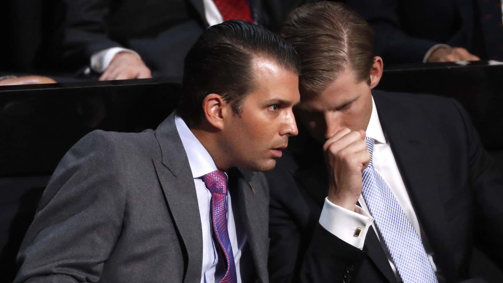 Trump’s sons Eric and Donald Jr. see opportunities for the family business.