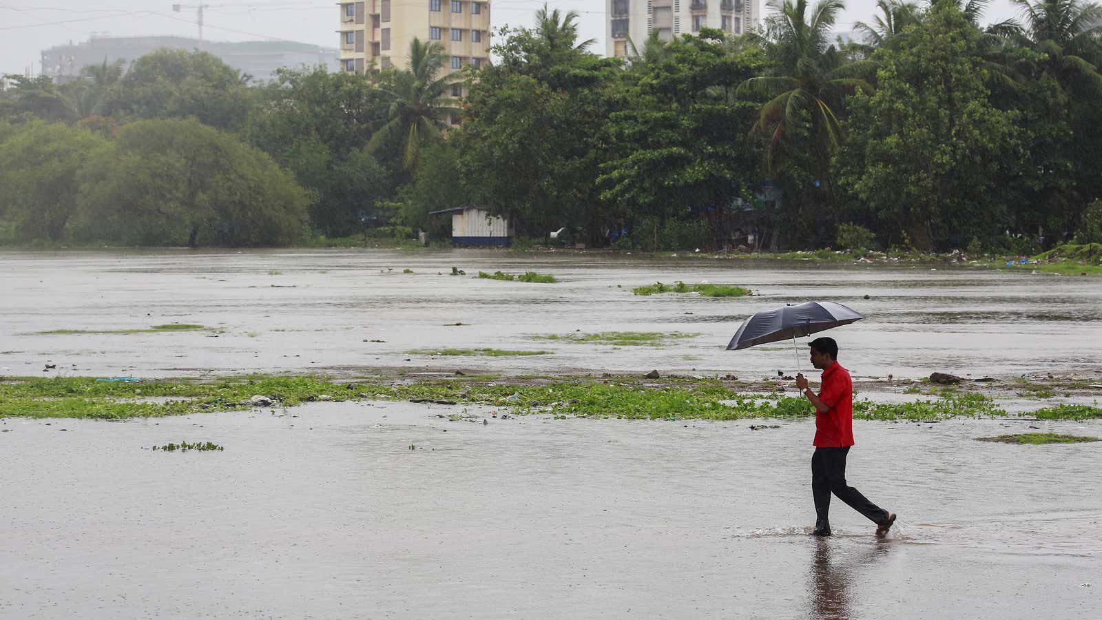 A man, holding an umbrella, crosses a flooded street during heavy rains in Mumbai, India, June 19, 2015.