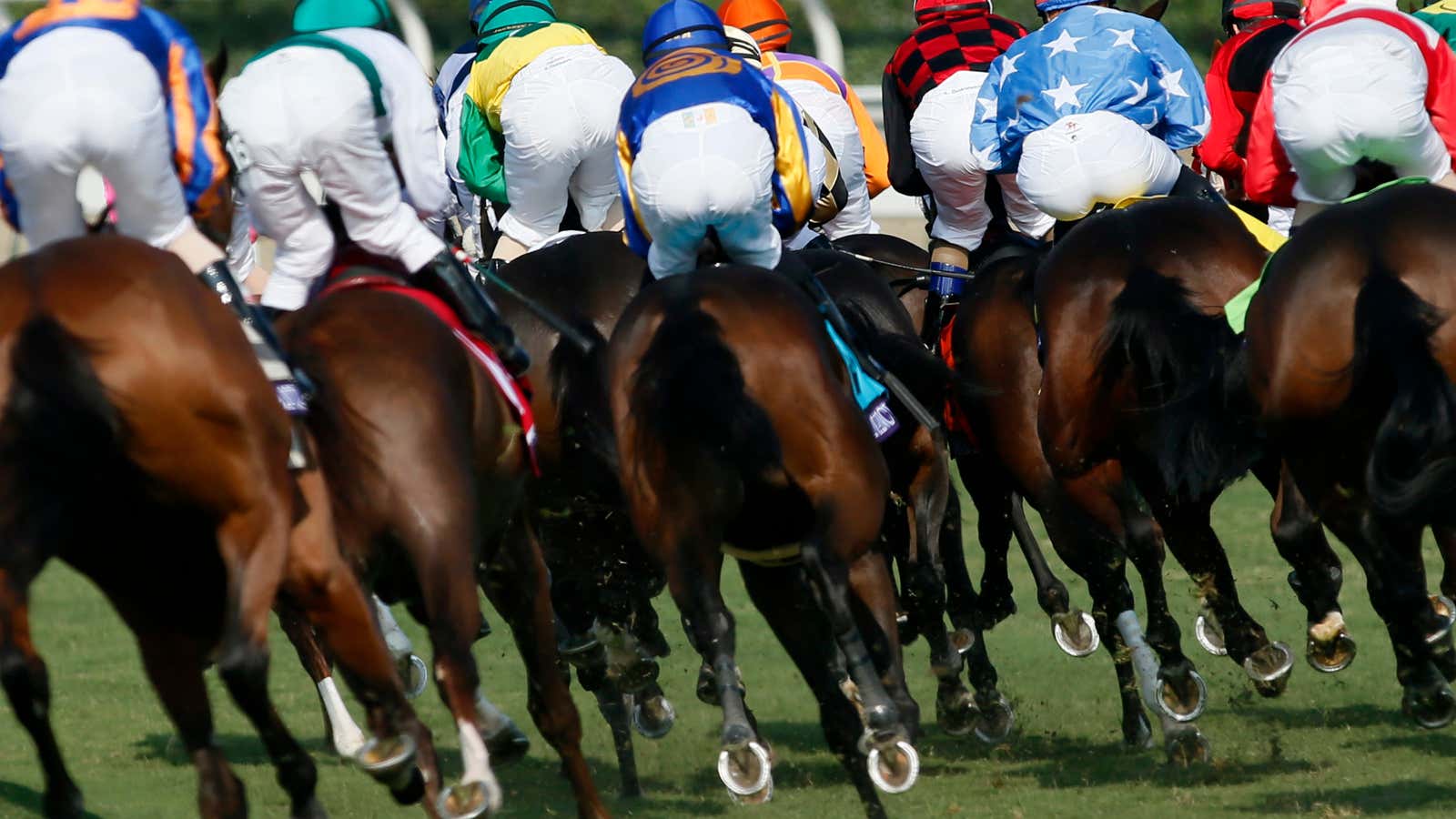 Racehorse sales are pulling ahead.