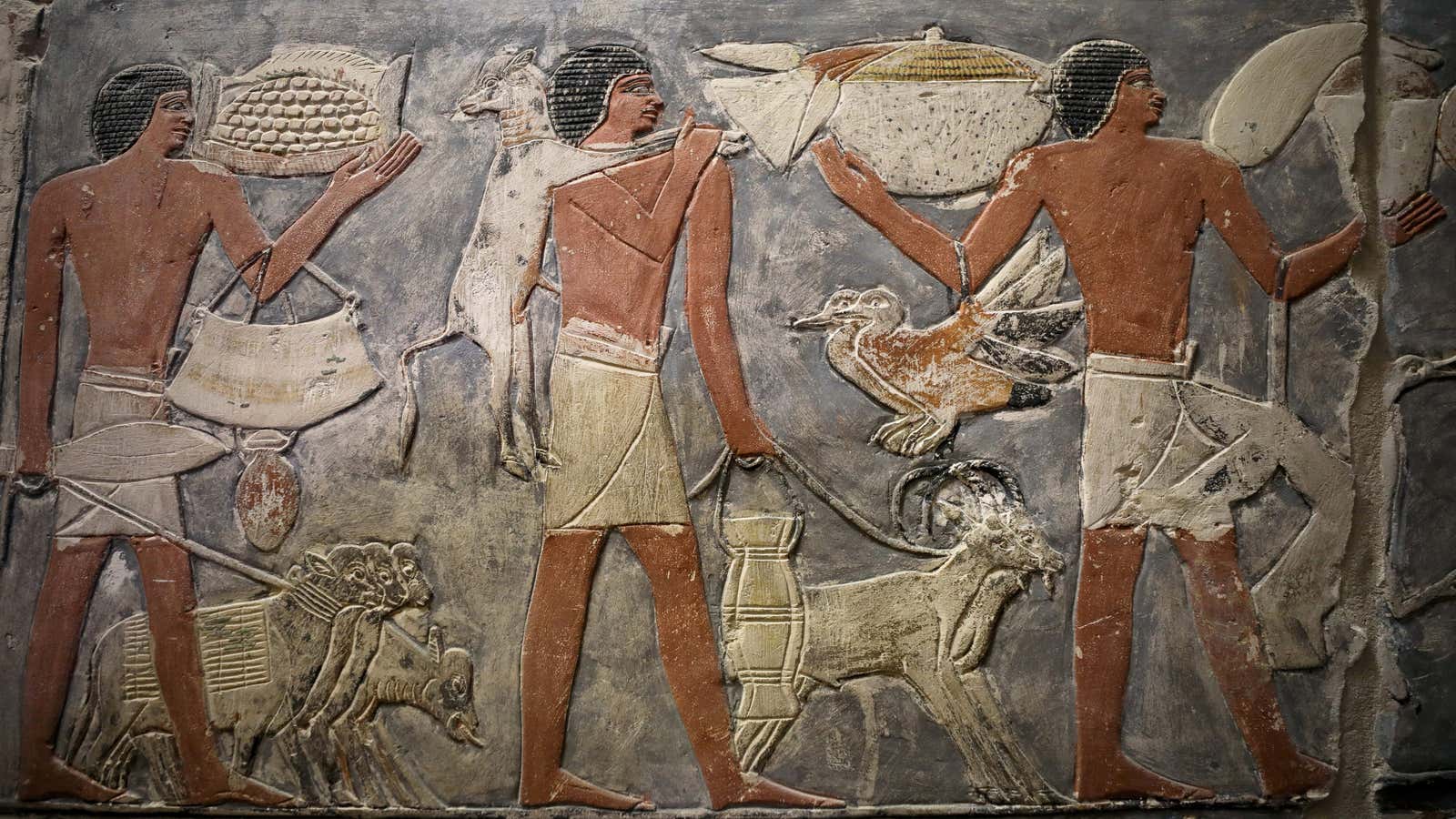 Environmental change may have played a role at the dawn of Egyptian history—here’s how