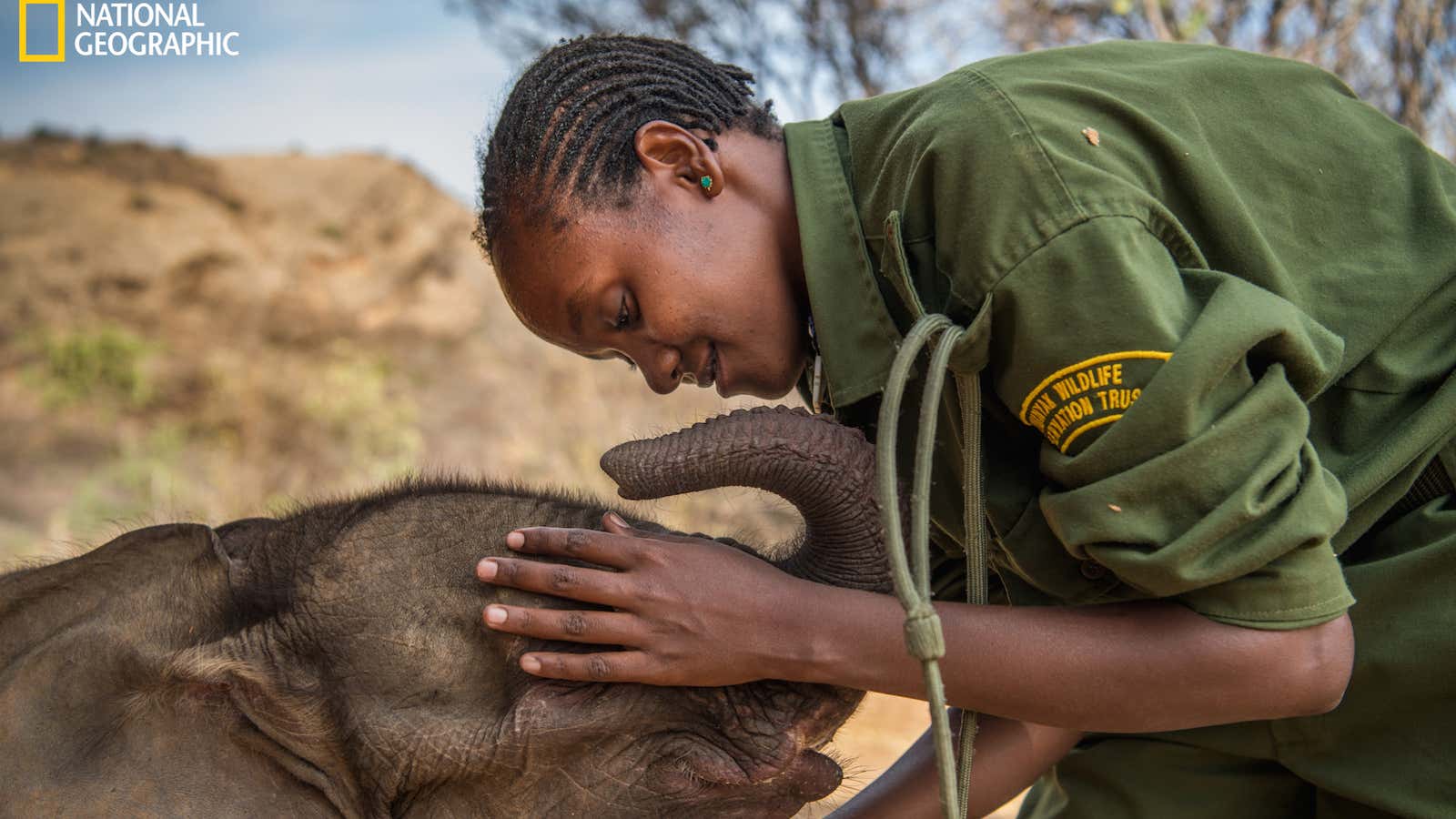 Mary Lengees, one of the first female elephant keepers at Reteti Elephant Sanctuary, caresses Suyian, the first sanctuary resident.