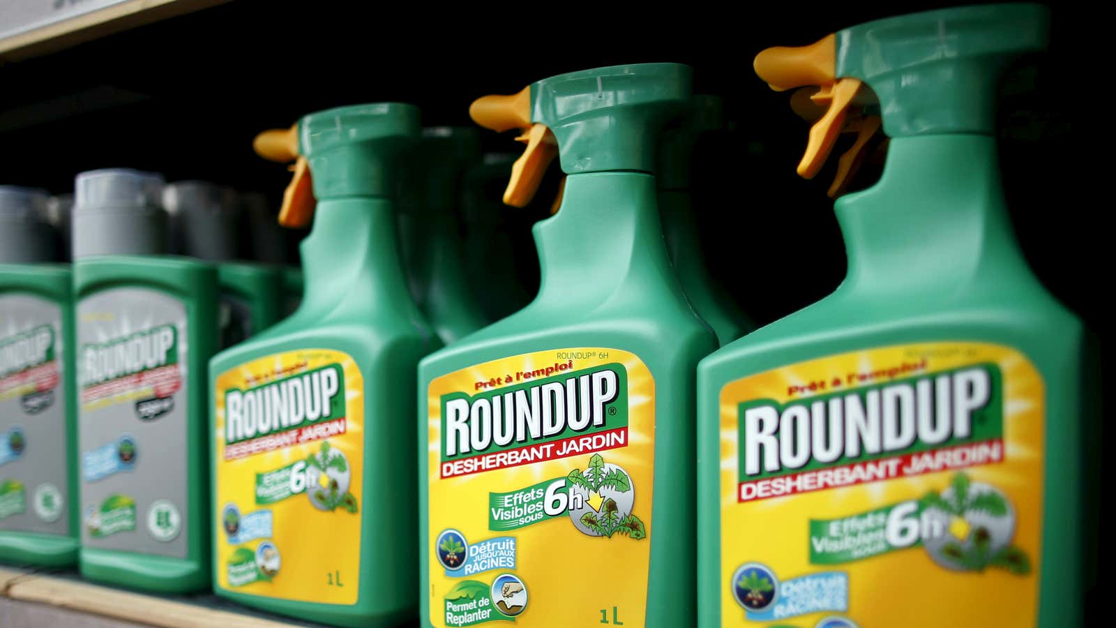 Monsanto is being wooed by Bayer.