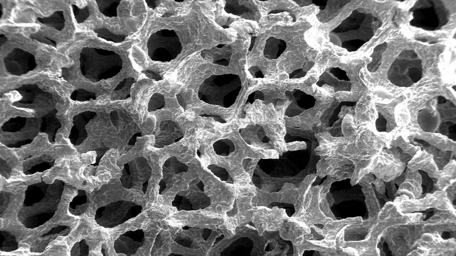 Metal foam seen under a scanning microscope at 10x.