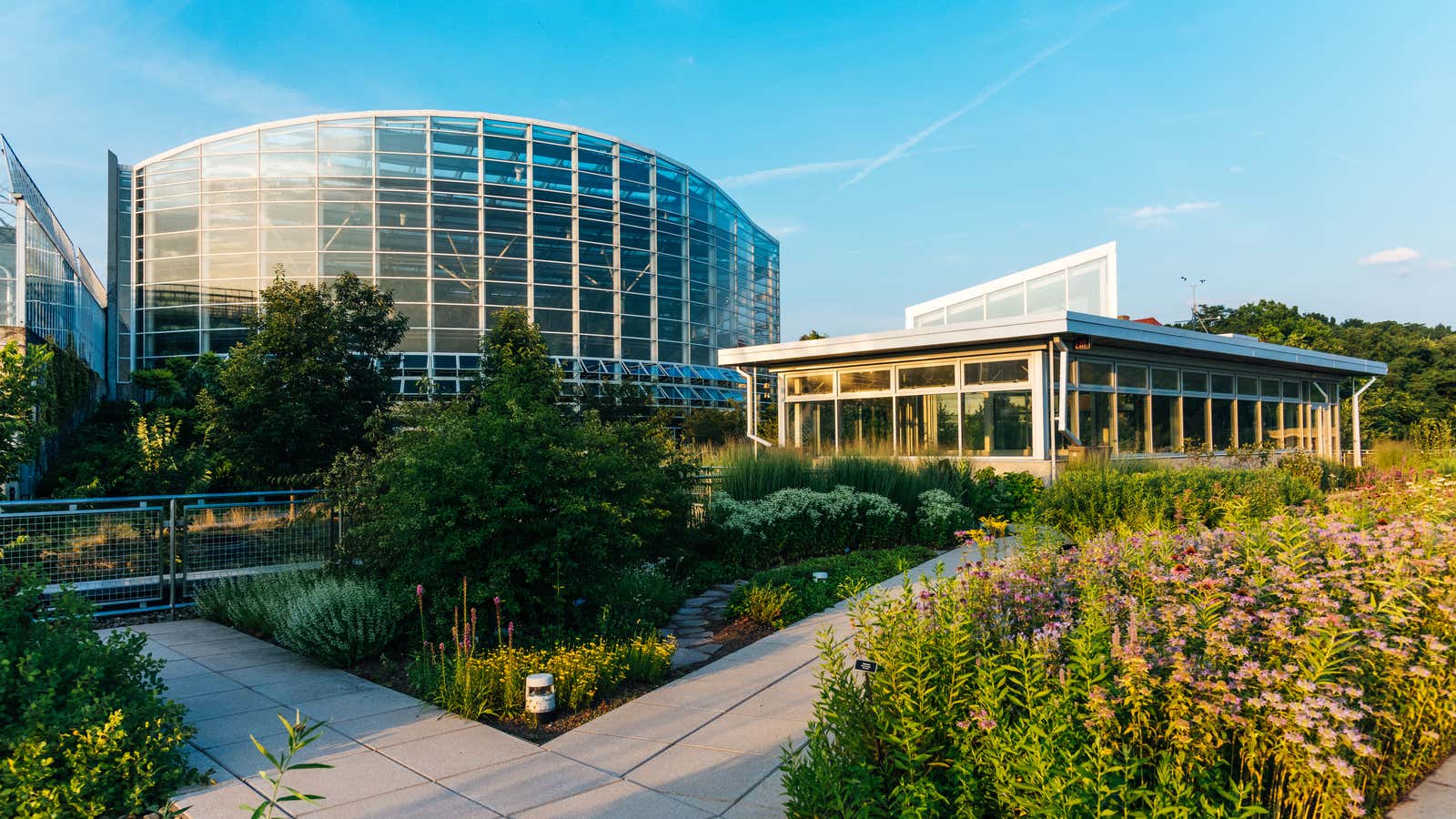 CSL, located in Pittsburgh, is one of the most eco-friendly buildings in the world.