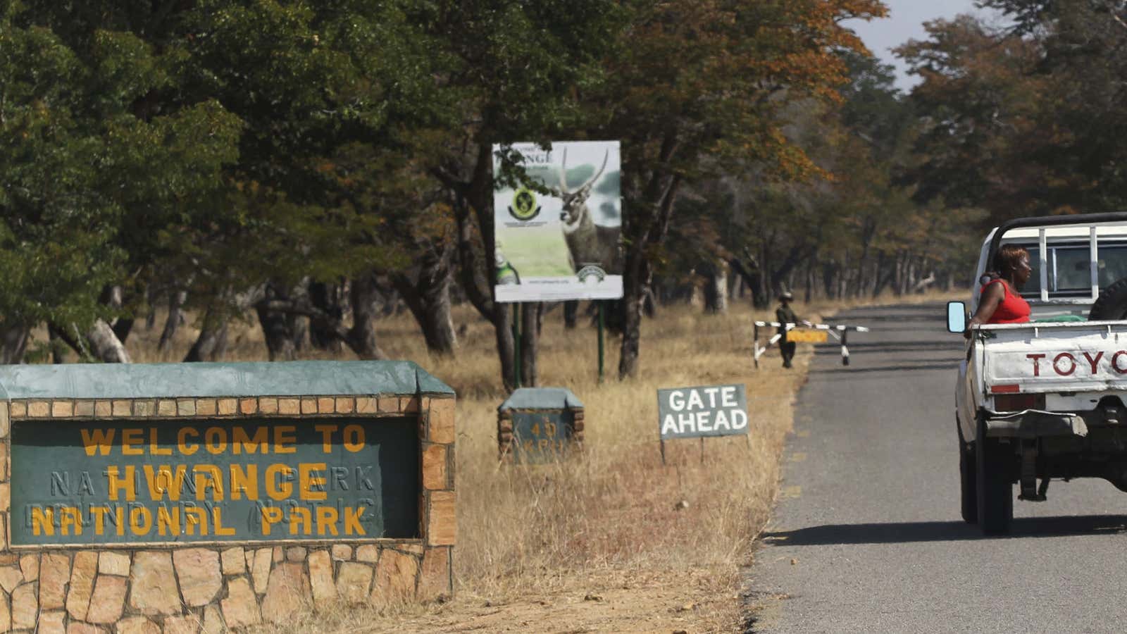 A photo of the Hwange National Park where Cecil the lion was a major attraction.