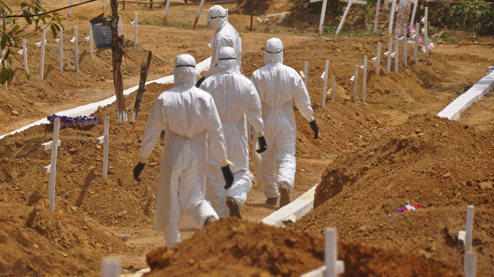 Ebola’s death toll is staggering.