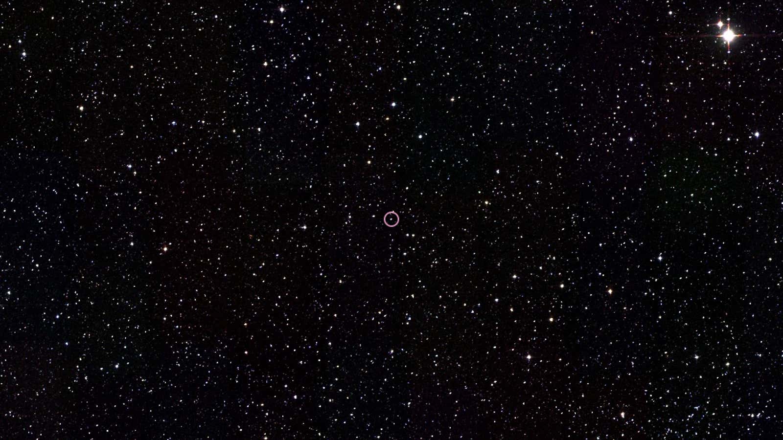 KIC 8462852, in the constellation Cygnus.