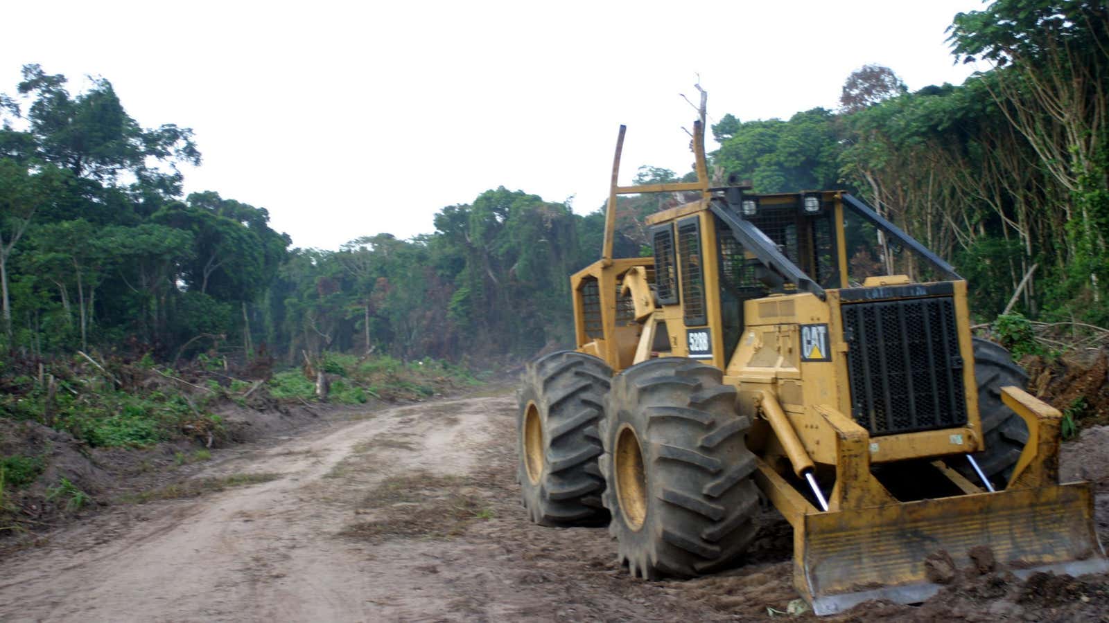 A logging company’s tractor in a DR Congo rainforest