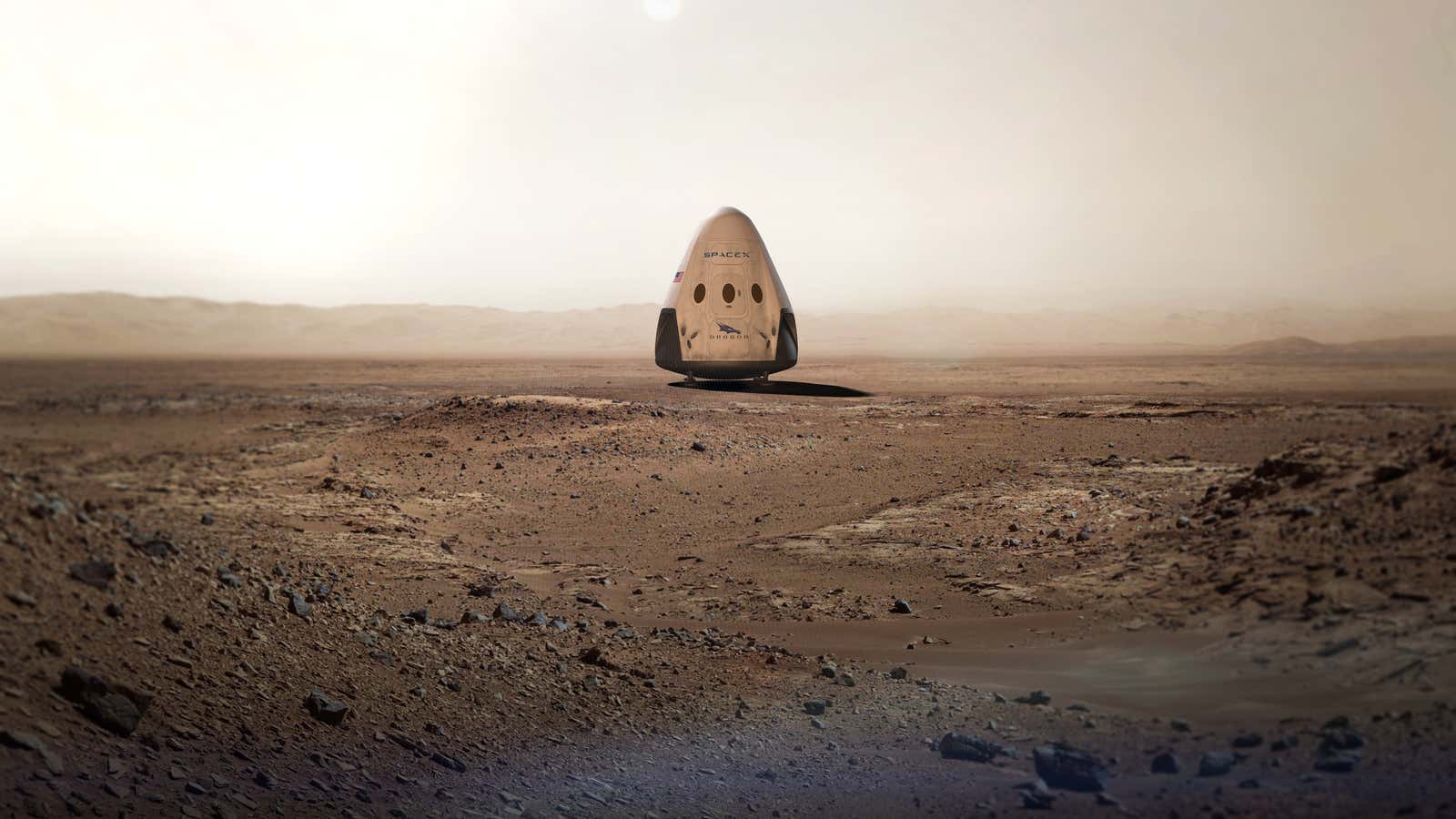 A dream big enough to propel a company—or sink it?
