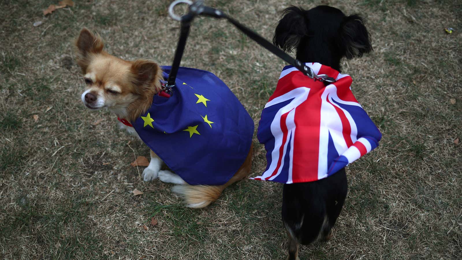 On Brexit's third anniversary, the UK has more reasons to regret it than ever