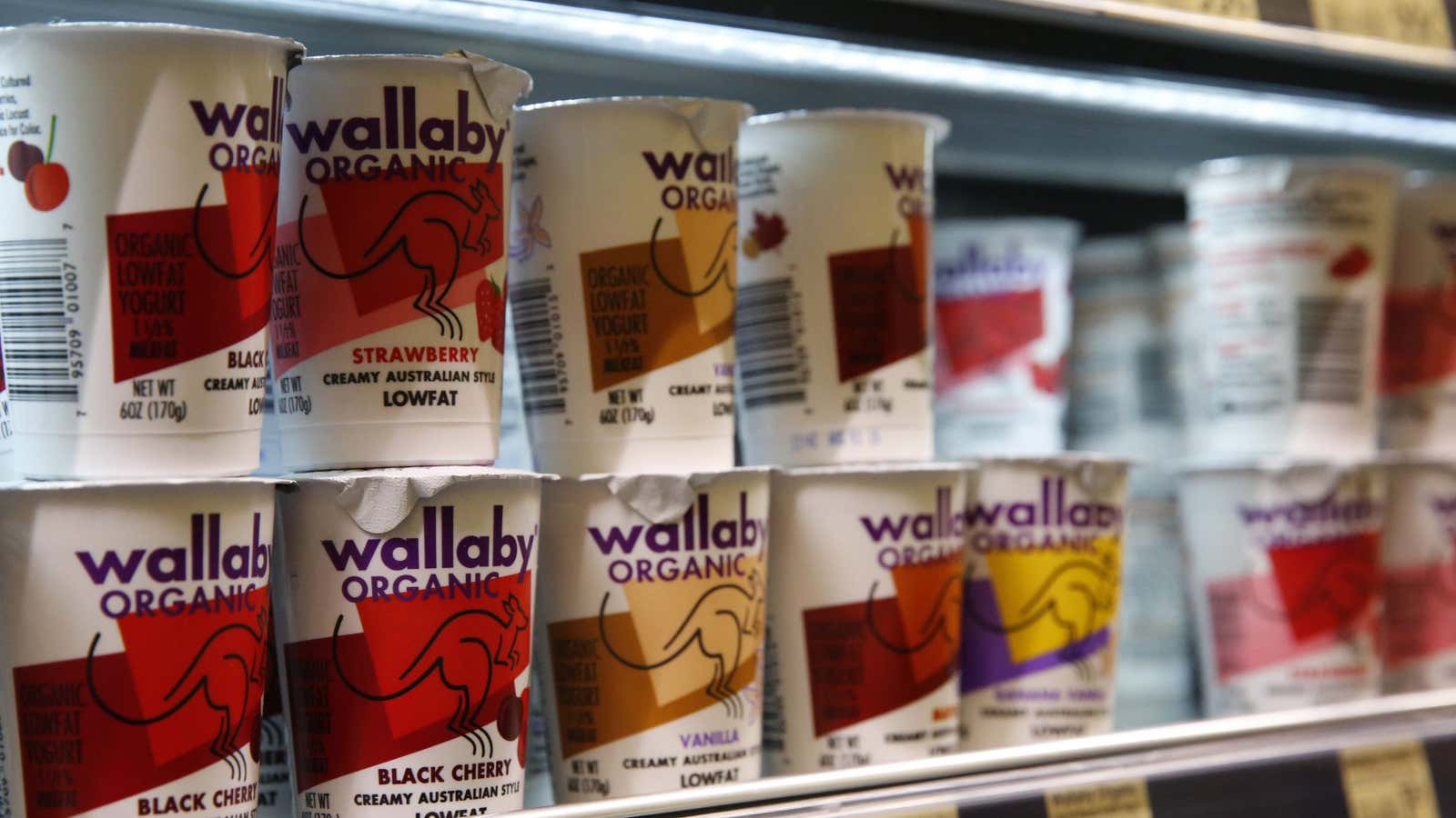 Yogurt made by the WhiteWave brand Wallaby Organic is in stock at Alfalfa’s Market, a locally-owned and independent grocery store in Boulder, Colo., Thursday, July…