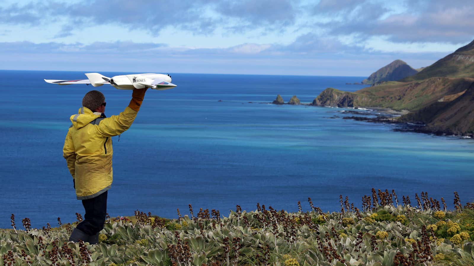 A growing group of scientists are using drones for wildlife conservation and research.