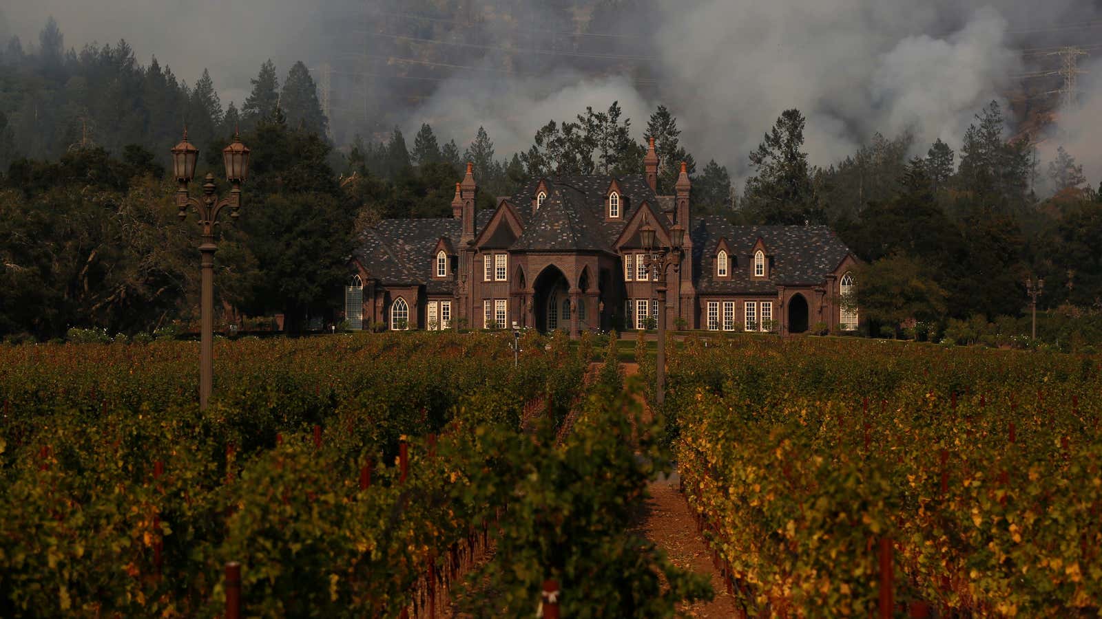 Extreme weather events like the California wildfires, and climate change, will increasingly threaten vineyards.