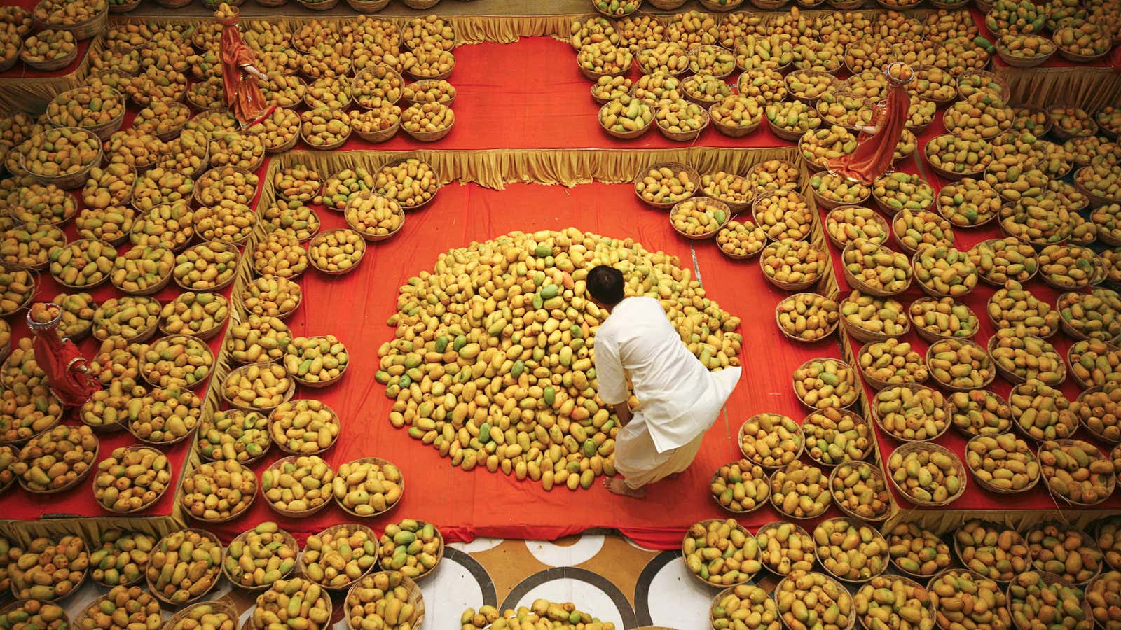 Mango is called the king of fruits in India.