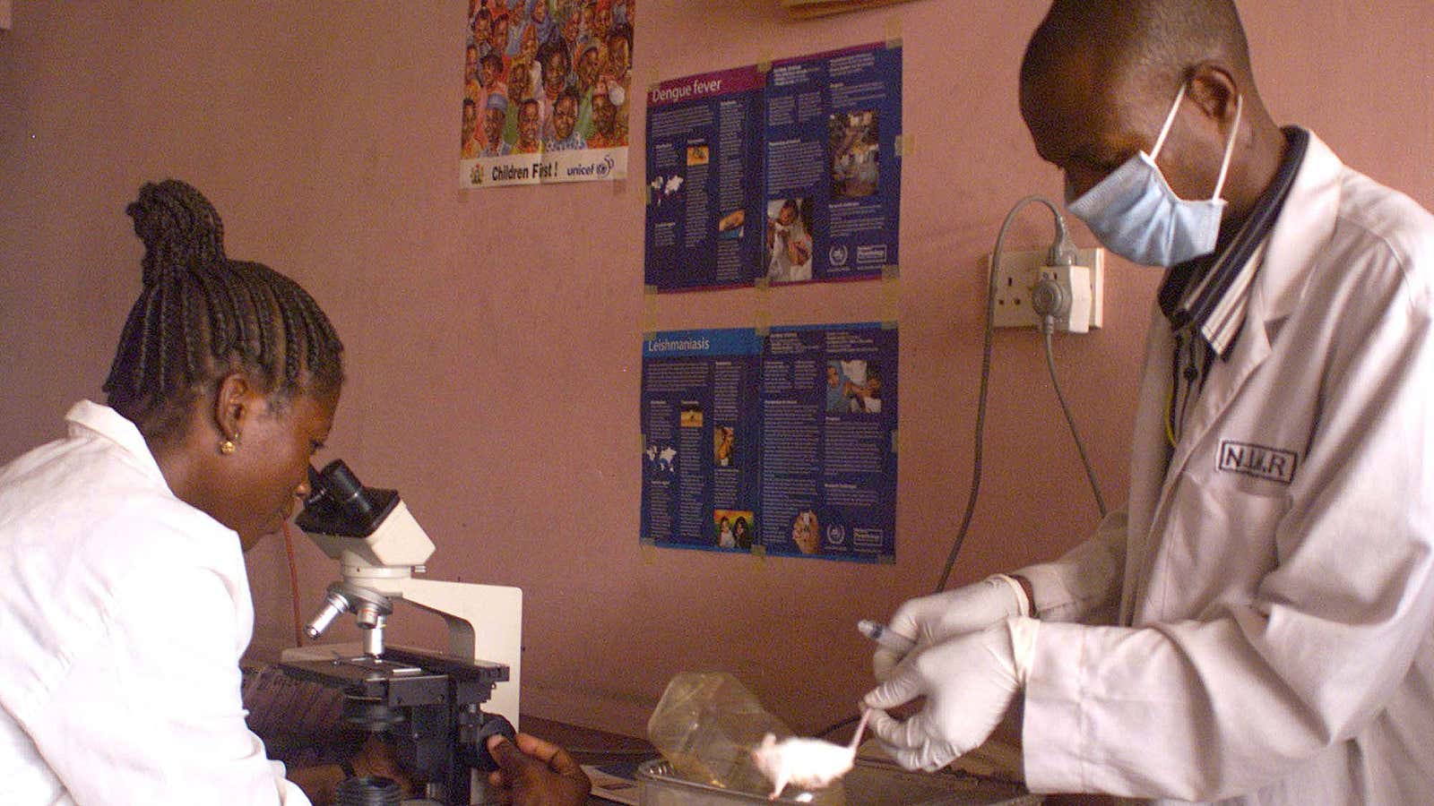 Scientists at work in Nigeria.