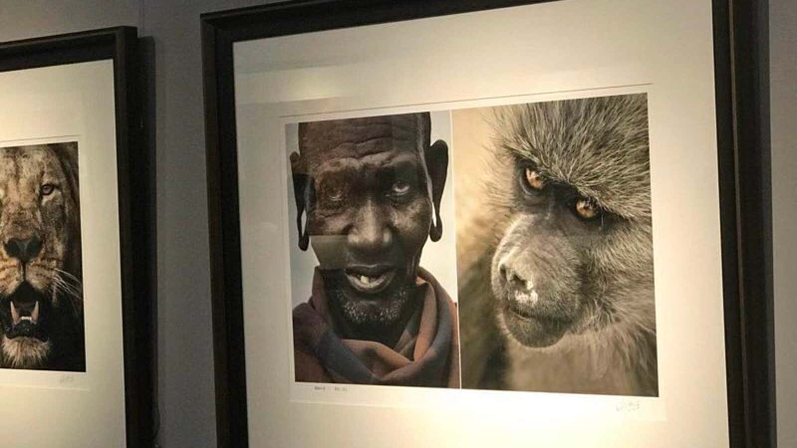 An exhibit in Wuhan called “This is Africa” featured images of Africans next to pictures of animals.