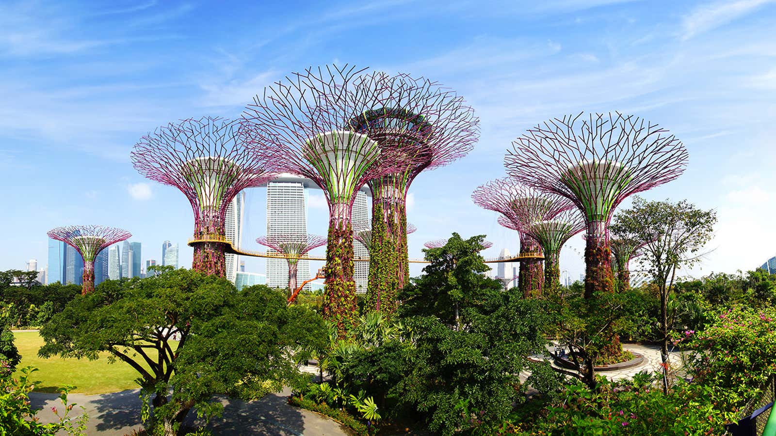 How a nation of innovators is helping drive Asia forward