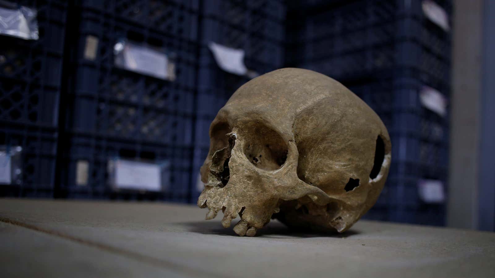 What can the oldest African burial site tell us about our ancestors?