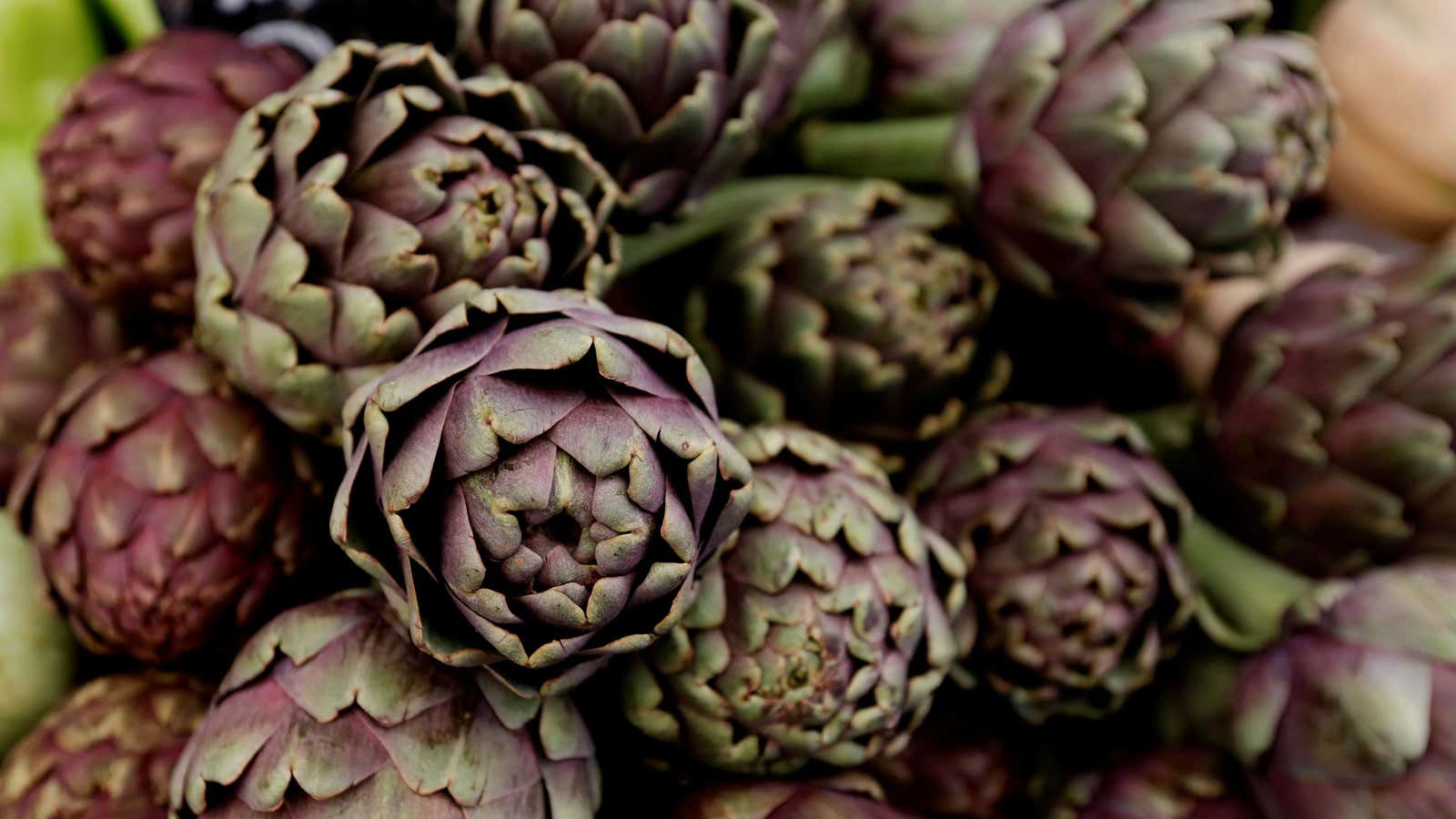 Artichokes are the vegetarian lobster—but are they kosher?