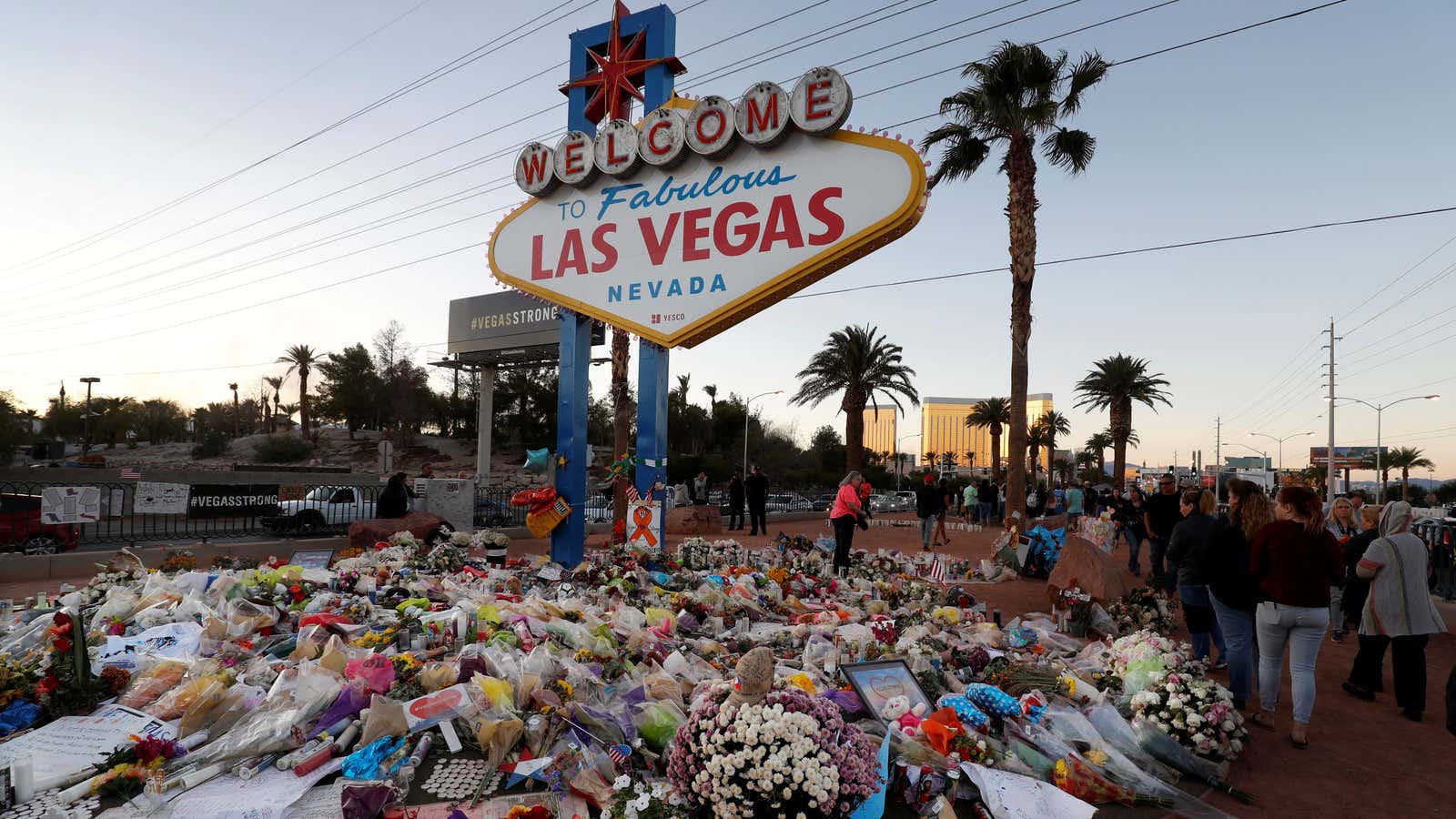 If we could stop things like Las Vegas before they happen, would we?