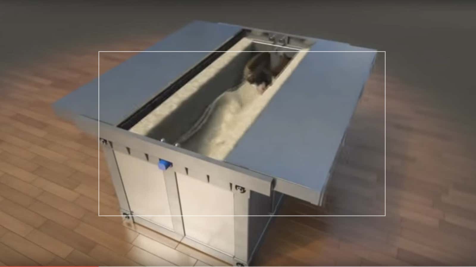 This bed will eat you to keep you safe.