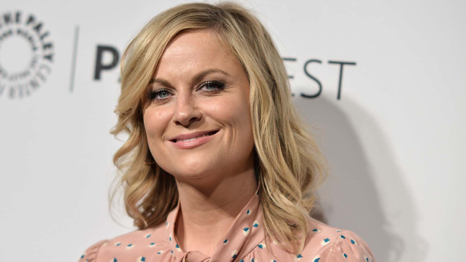 Amy Poehler sees right through bullies.