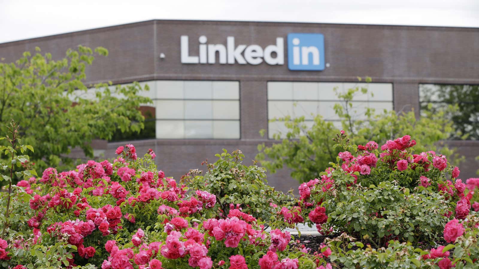Flowers bloom outside LinkedIn’s headquarters in Mountain View, California. But content strategy is wilting.