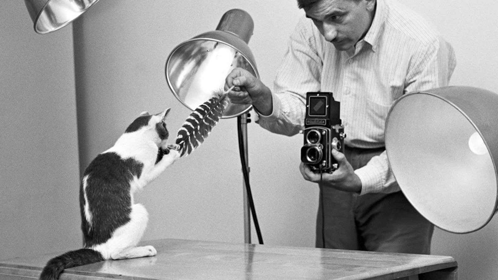 Walter Chandoha photographing an OG lolcat.