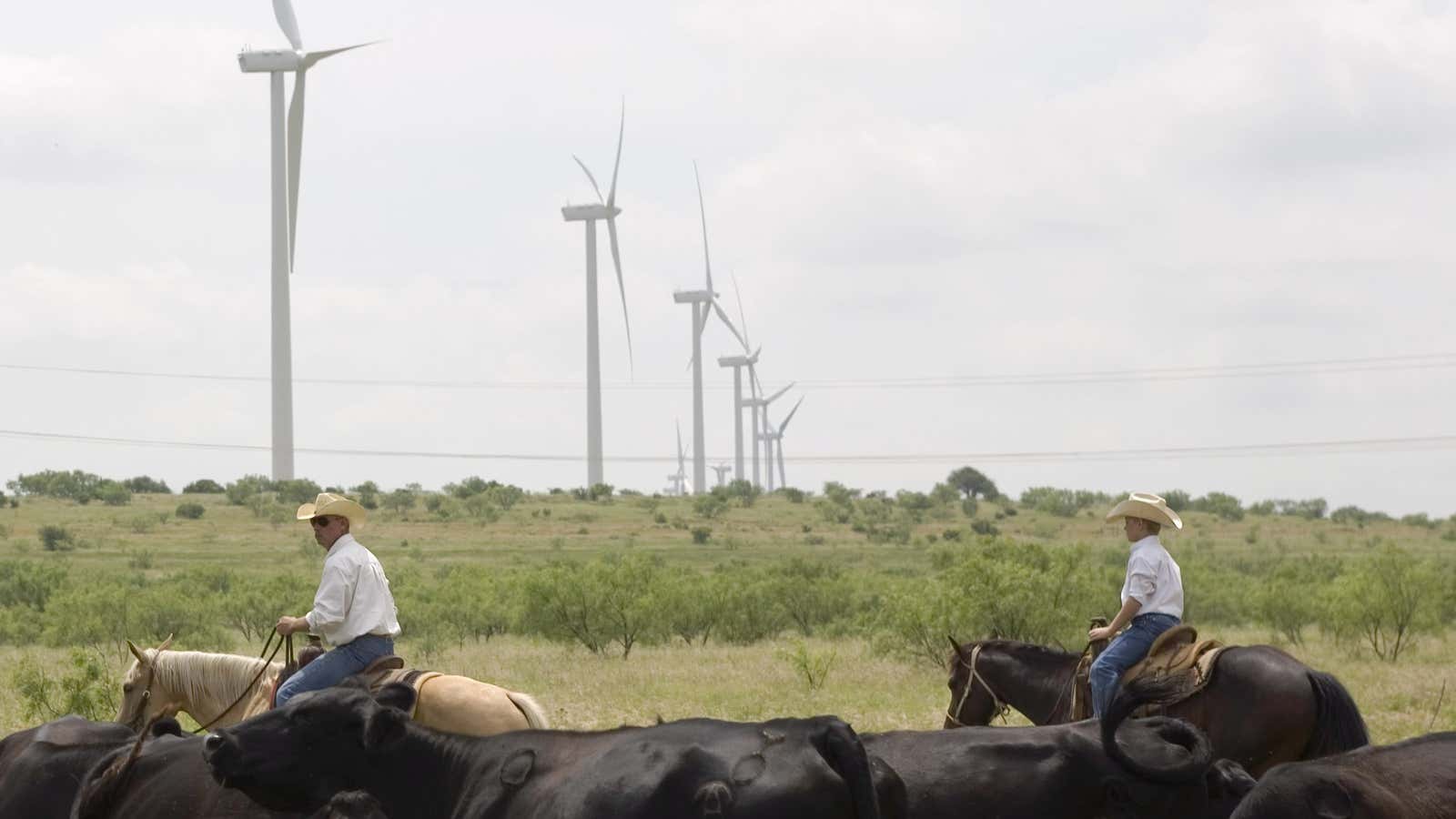Texas wind farm operators are feeling lucky.