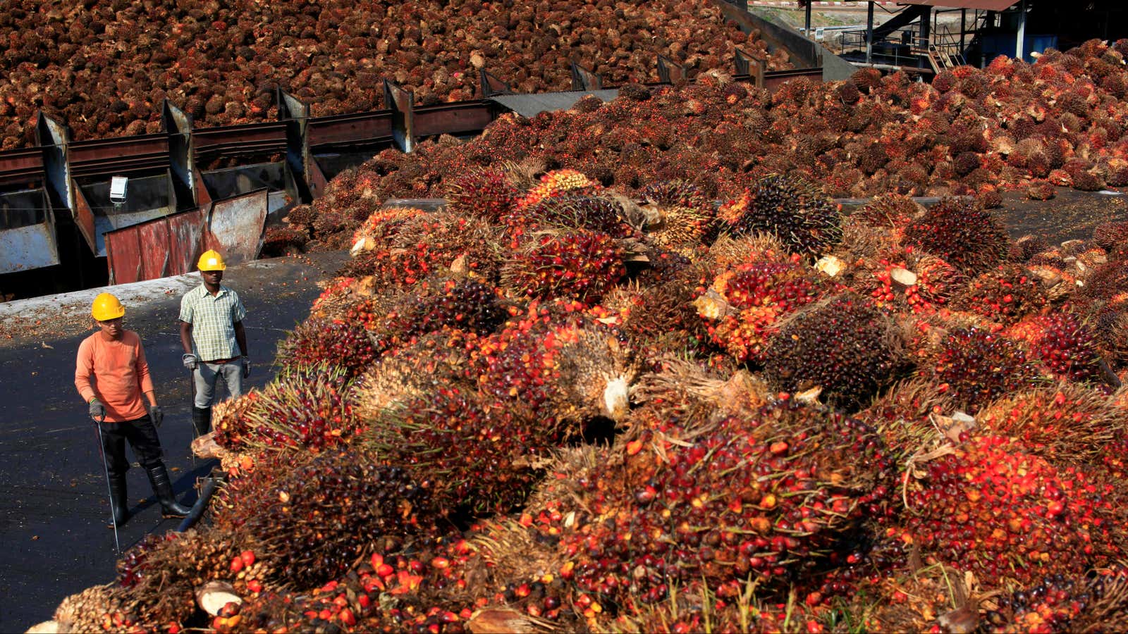 Palm oil woes.