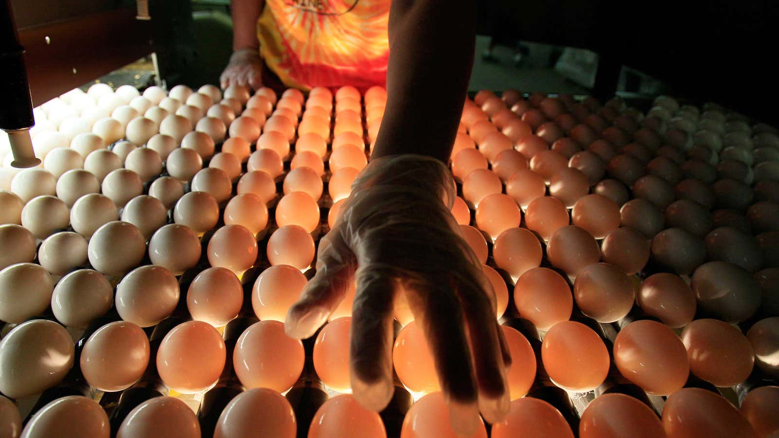 The invisible hand of egg prices.