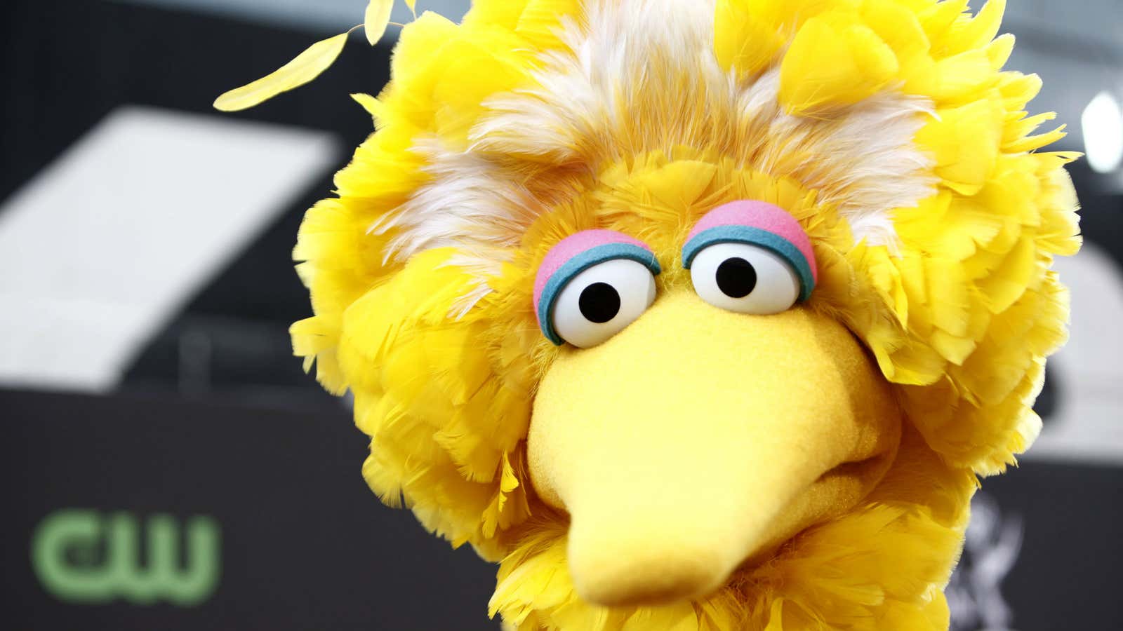 Big Bird to Donald Trump, some interesting characters were invoked in the first US presidential debate