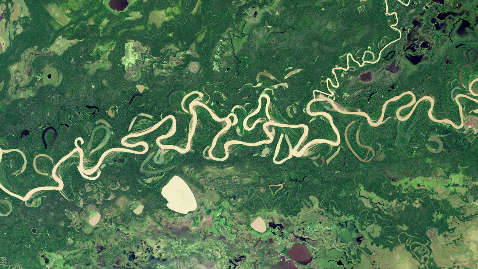 The Mamoré River, in Bolivia.
