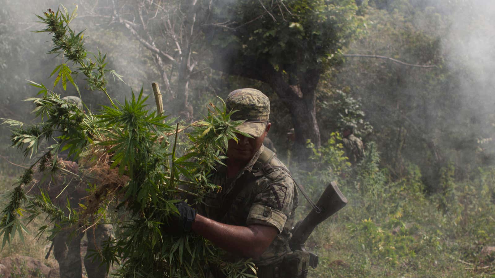 Can voters and free markets achieve what soldiers could not in the fight against drug trafficking?