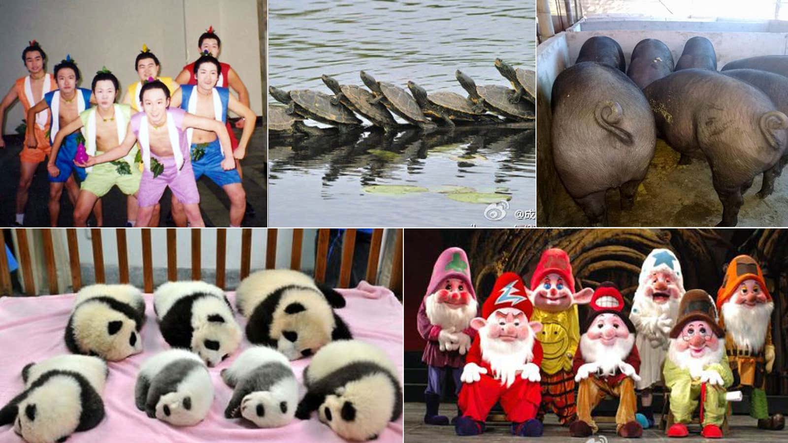 Sina Weibo users liken their seven new leaders to these images.