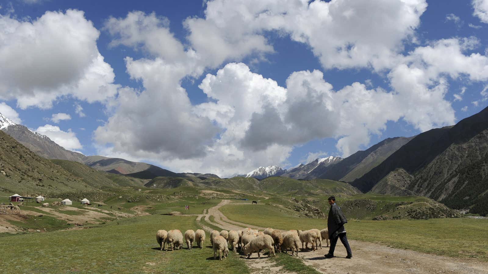 An ethnic Uighur herdsman.