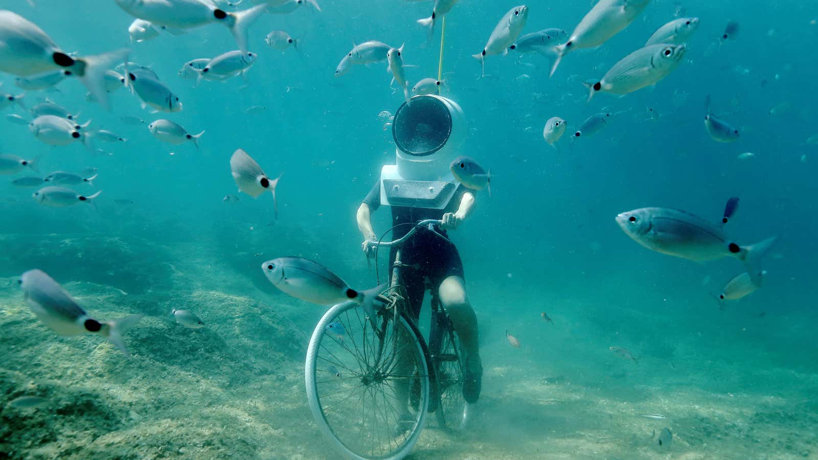 Useless as a bicycle underwater.