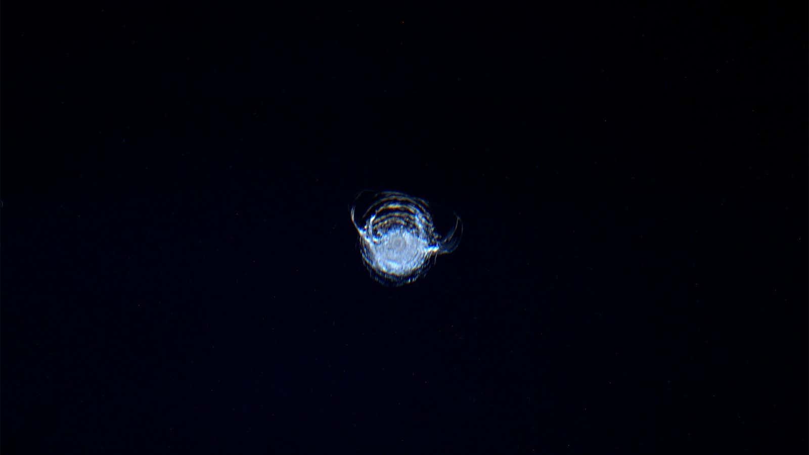 This chip in the window of the International Space Station was caused by orbital debris.