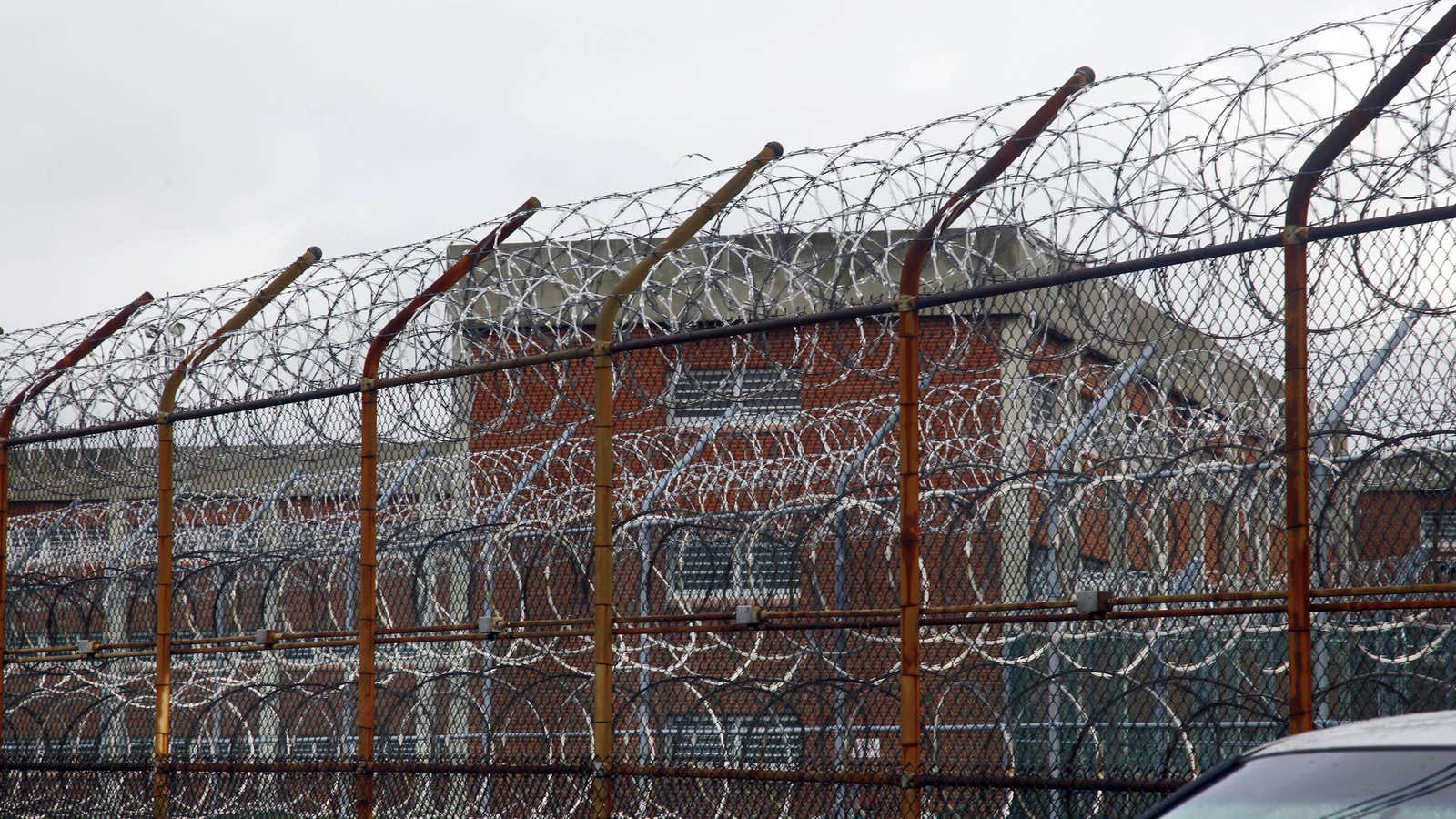 Why prisons need prison gangs