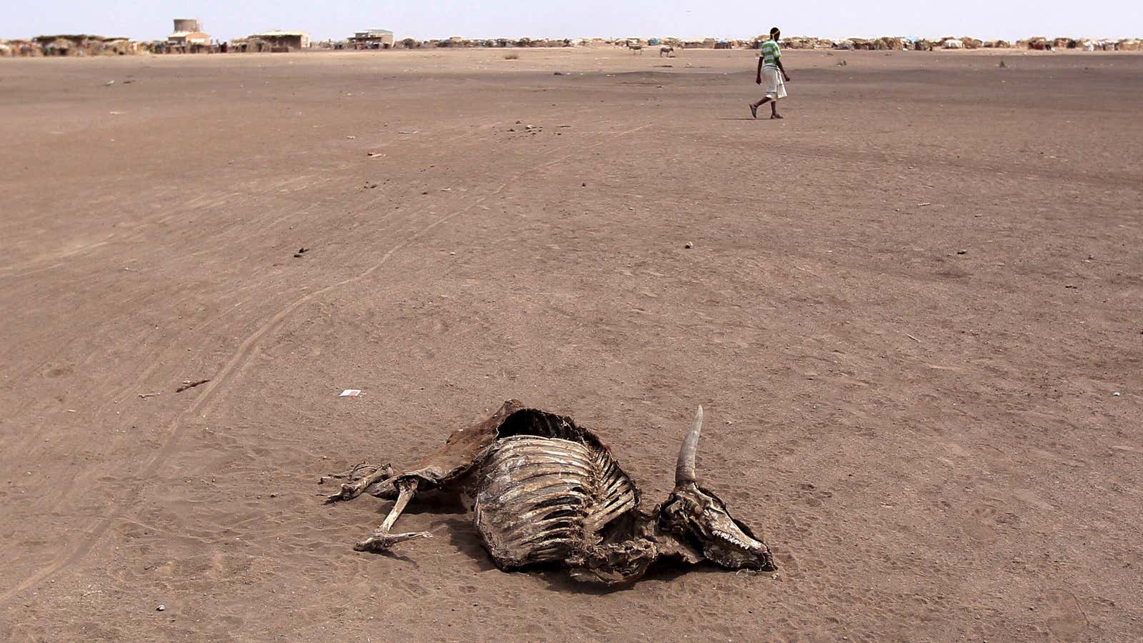Drought is ravaging Ethiopia’s Somali region.